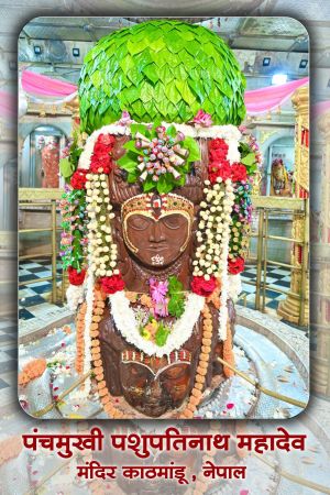 Pashupati Mahadev E book Seva